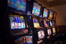 Pokies (ABC News: Gregory Nelson)