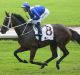 Effortless: WInx is ready to make it 17 wins in a row in the Queen Elizabeth Stakes at Randwick on Saturday. 