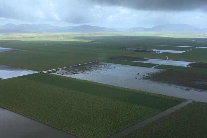 An aerial view of flooded cane fields near Proserpine.