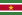 Vlag van Suriname