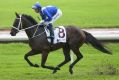 Effortless: WInx is ready to make it 17 wins in a row in the Queen Elizabeth Stakes at Randwick on Saturday. 