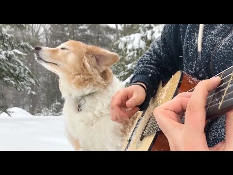 Musician Performs a Magical Snowy Cover of Mia  Sebastian s Theme from La La Land With His Loyal Dog at His