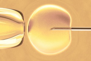 Currently only embryos left over from IVF procedures can be used in research, but they are in short supply.