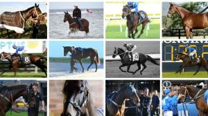 How well do you know Winx?