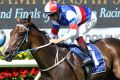 Property, with Hugh Bowman on board, wins the Widden 150th Anniversary Stakes at Randwick on Saturday.