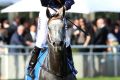 Number one: Tommy Berry celebrates after Chautauqua won the TJ Smith Stakes.