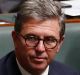 Cloud of constitutional uncertainty: assistant health minister David Gillespie.