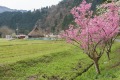 Rural landscape of Historical village Miyama in Kyoto, Japan.