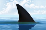 Beware the sharks among corporate advisers, who promise a lot but go on to milk you of much-needed capital.