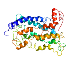 Protein P2RY12 PDB 1T78.png