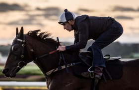 Hugh Bowman riding Winx. The champion horse will be chasing her 17th successive win in the Queen Elizabeth Stakes.   