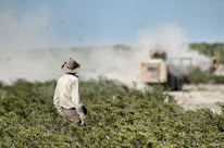 Obama Approved Pipelines to Mexico now Destroying Indian Site in Big Bend, Texas