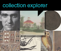 Collection Explorer