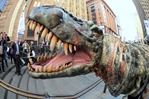 The Australian Museum's tyrannosaurus exhibition has won record attendance figures in North America.