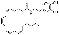 N-Arachidonoyl dopamine.svg