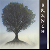 branchandroot: oak against sky (Default)