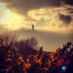 Scrabo, submitted by Kate Mairs, March 2017.