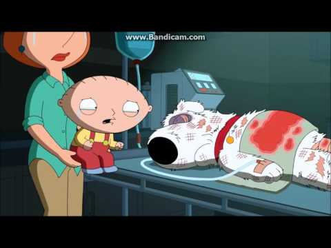 Family Guy - Brian's Death