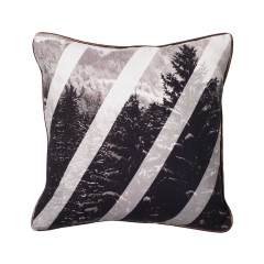 Strike Cushion Cover