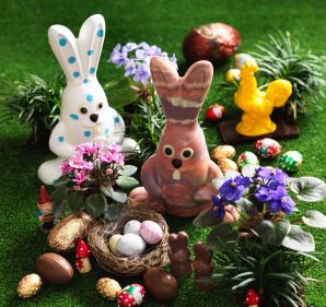 Rabbit season: it's time for the Good Food Easter egg taste test.