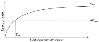 A two dimensional plot of substrate concentration (x axis) vs. reaction rate (y axis). The shape of the curve is hyperbolic. The rate of the reaction is zero at zero concentration of substrate and the rate asymptotically reaches a maximum at high substrate concentration.