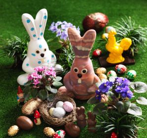 Rabbit season: it's time for the Good Food Easter egg taste test.