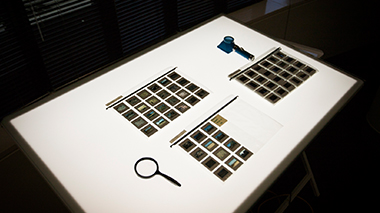 image slides on light table