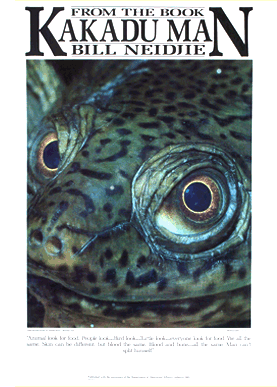 This poster, used to publicise the book Kakadu Man, depicts the face of a long necked turtle, an abundant food in the middle dry season.