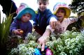 There are more than a few options for an Easter egg hunt in Canberra.