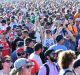 Taking it to the track: Grand Prix fans celebrate after the race at the Albert Park circuit.