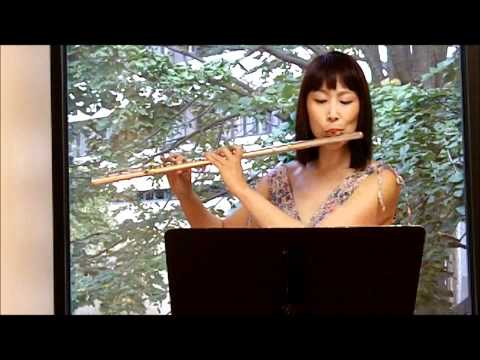 Flute Toot-orial: Etude in d minor (Andersen, Carl Joachim 1847-1909)  (LMEA 2015-2016,ASBOA Set II)