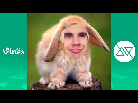 Ultimate Christian DelGrosso Vine Compilation 2016 - Funny Christian DelGrosso Vines All Time