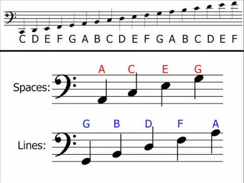 Music Theory - Bass Clef (Understanding & Identifying Notes)