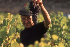 The bounty of a Bordeaux vineyard.