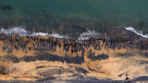 Coal dust on the beaches next to the Abbot Point coal loading facility.
