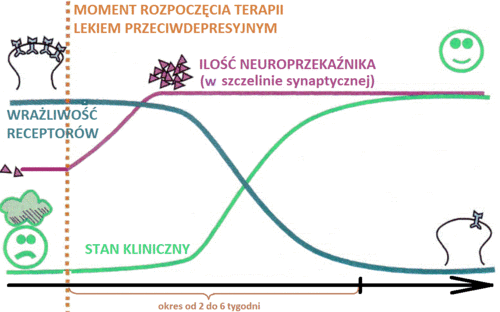 LPDmechanizm.gif