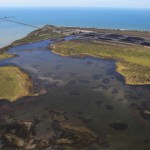 Caley Valley Wetland contaminated by coal from Abbot Point. Photo: Dean Sewell