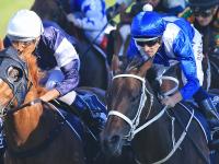 Winx ridden by Hugh Bowman (white pom pom) making