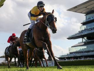 The Mission ridden by Damian Lane wins Moet and Chandon Champagne Stakes race during the All Aged Stakes Day at Randwick Racecourse in Sydney, Saturday, April 15, 2017. (AAP Image/Craig Golding) NO ARCHIVING, EDITORIAL USE ONLY