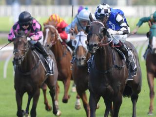 Randwick races