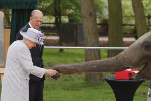 Britain's Queen Elizabeth II and her husband the Duke of Edinburgh are greeted by an elephant at the Zoological Society ...