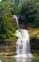 Upper Navua Conservation Area