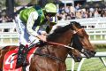 Looking for the double: Divine Prophet wins the Caulfield Guineas  
