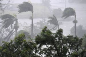 Cyclone Debbie has hit key growing areas around Bowen. 