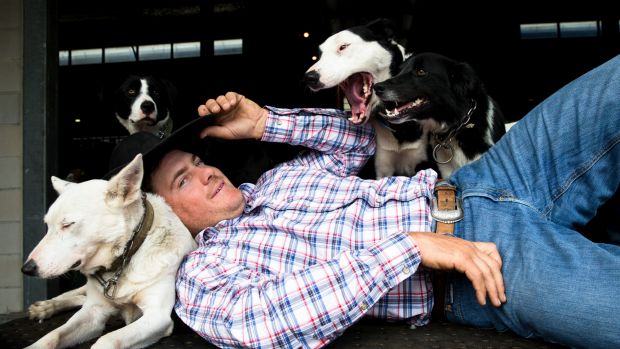 Murray Wilkinson with his cattle dogs, at the Easter Show in Sydney. 4th April 2017 Photo: Janie Barrett