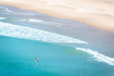 Whale Beach is a popular destination for prestige buyers.