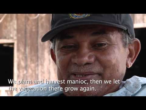 Slash & Burn | Part 1: Why Amazonian farmers use fire