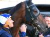 Winx falls short in battle for top spot