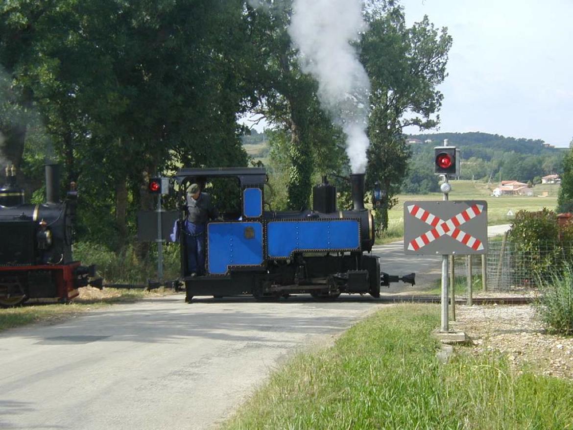 Tourist train at the end of the garden - for the little ones