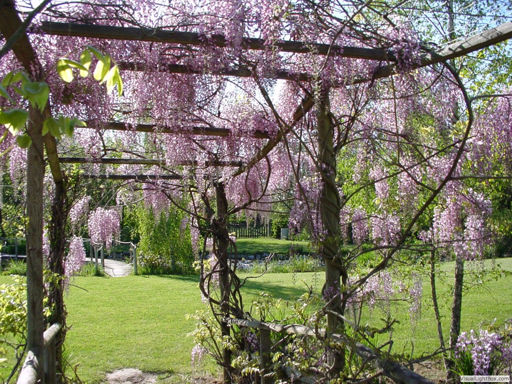 Les jardins des Martels, across the road, wonderful!